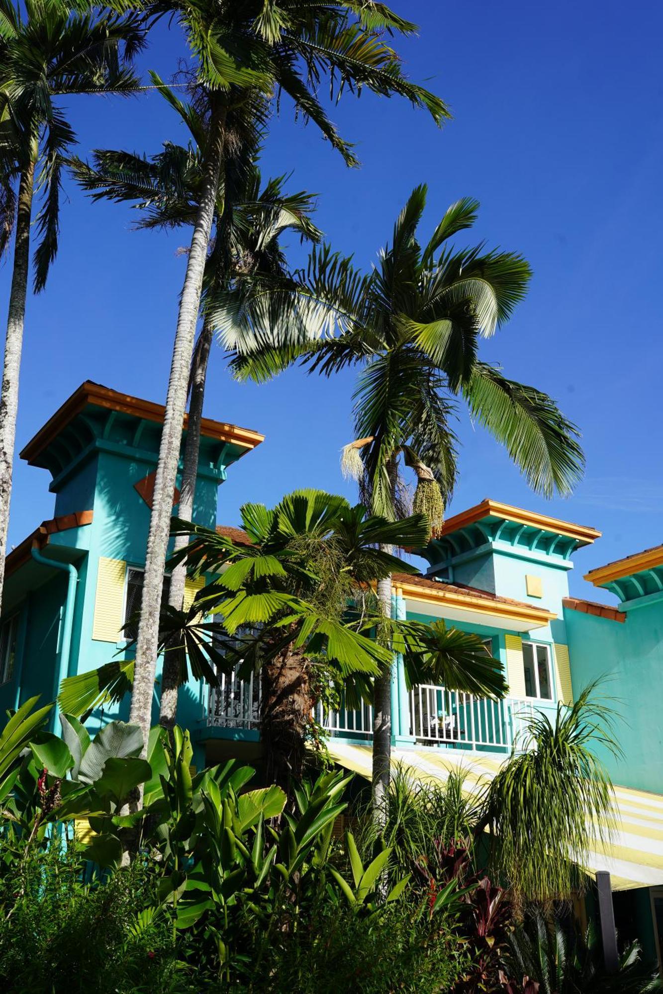 Casa Papaya Adults Only Apartment ميناء دوغلاس المظهر الخارجي الصورة